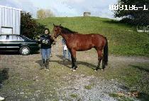 ���佺Ʈ (TEMPEST) ����