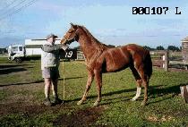 ����̻� (GIDAEISANG) ����