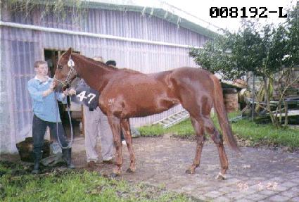 ŷ���� ����