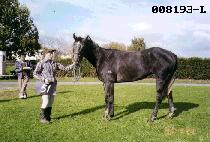 �Ѻ�� (HANBIYA) ����