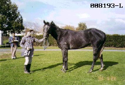 �Ѻ�� ����