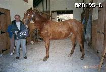 ���� (SEOKMOON) ����