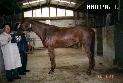 ���� ����