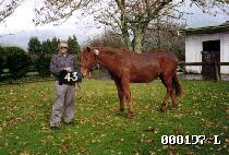 ���Żȯ (USEUNGTALHWAN) ����