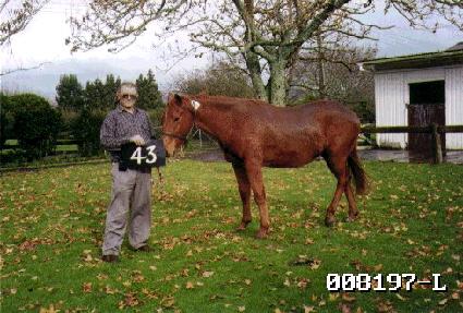 ���Żȯ ����