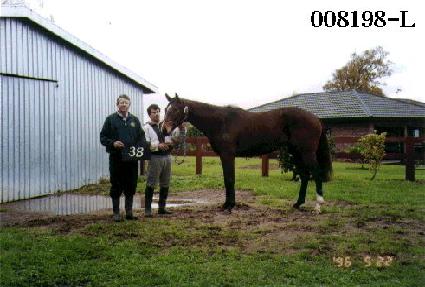 ���� ����