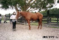 �ó��ھ� (CINE CORE) ����