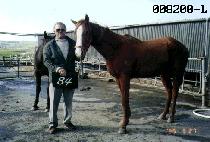 �굹 (SANDOL) ����