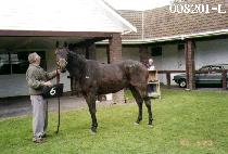 �̾��� (ISSINE) ����