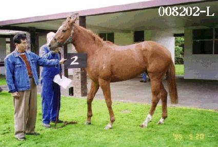 �Ͻ�ŷ ����