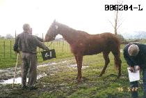 �ֻ�� (CHOESANGGEUP) ����