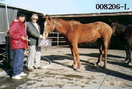 �ٿ� ����