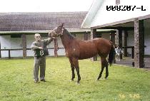 Ȳ�氭 (HWANGRYONGGANG) ����