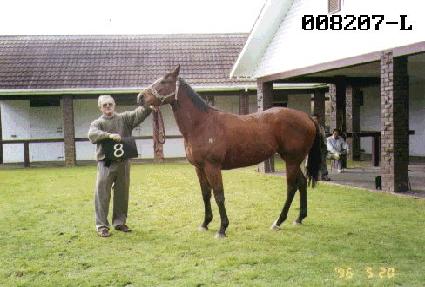 Ȳ�氭 ����