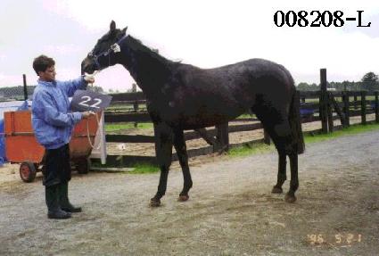 ������ ����