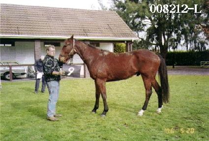 �����ĵ� ����