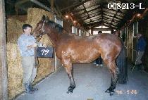 ������ (HYEONMYEONGHAN) ����