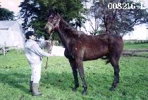 ȸ�����ٶ� (HOEORIBARAM) ����