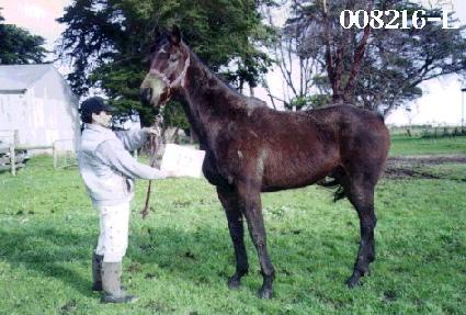 ȸ�����ٶ� ����