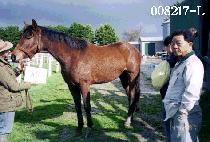 ���ֺ� (TOSOLBONG) ����