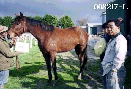 ���ֺ� ����