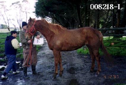 �ݰ� ����