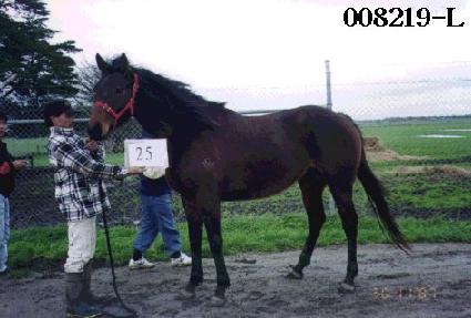 �������� ����