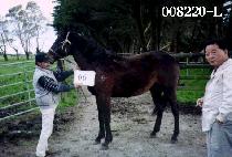 ���ư� (SUHUNGAP) ����