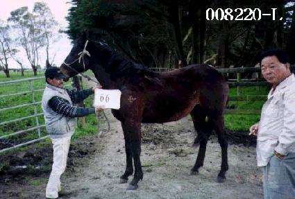 ���ư� ����