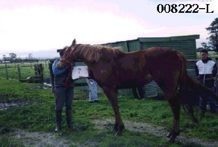 ���� ����