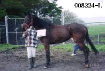 ���غ� (MANGHAEBONG) ����