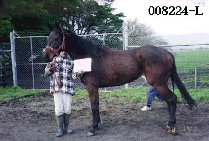 ���غ� ����