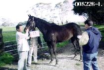 ��ȣ���� (PIHOMYEONGJANG) ����