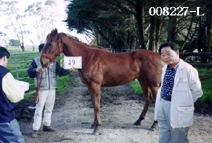 �������� ����