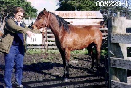 ���ٶ� ����