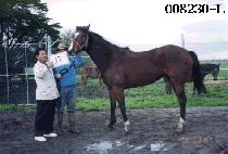 ���ּ� (HAEJUSEONG) ����