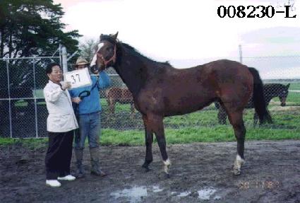 ���ּ� ����