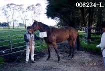 û�� (CHEONGNI) ����