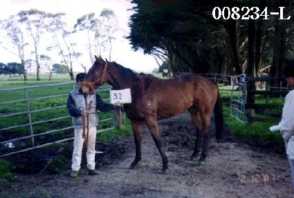 û�� ����