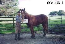 ����� (HYANGTOWON) ����