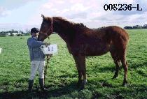 ���ֹݳ� (NAJUBANNAM) ����