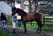 ��ϵ��� (SUNNY DAY) ����