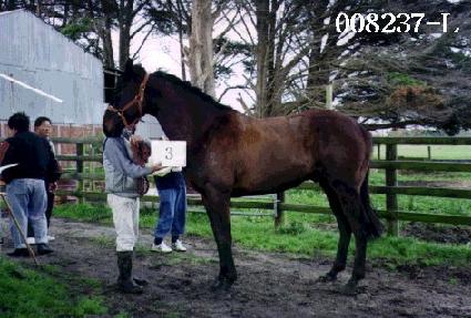 ��ϵ��� ����