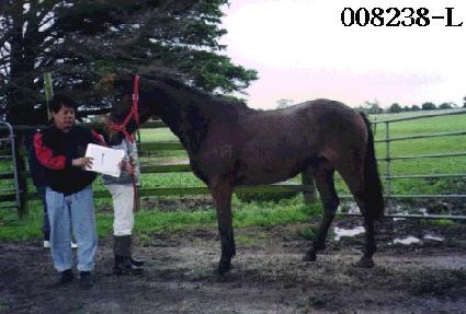 �߿� ����