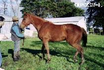 ȯ�� (HWANHEE) ����