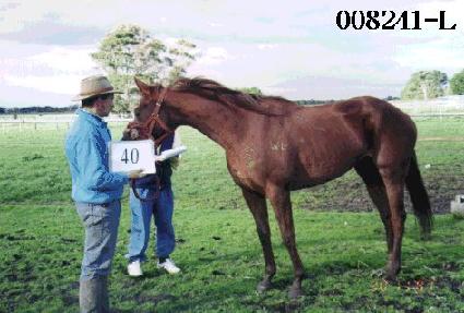 õ������ ����