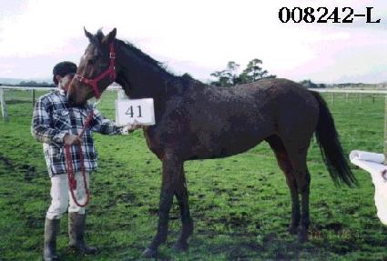 ������ ����