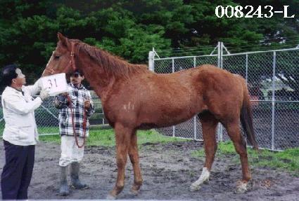 ������ǳ ����