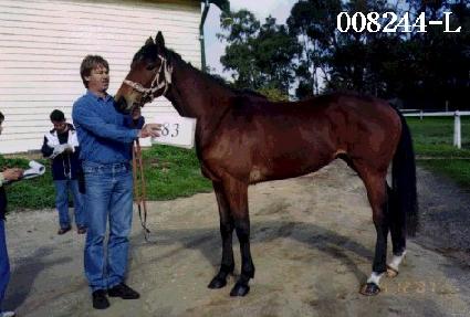 ���ǽ�Ÿ ����