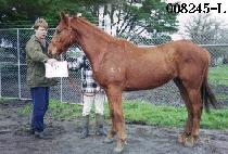 ����û (YURINCHEONG) ����